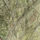 Forest Green Orizz — catálogo existente
